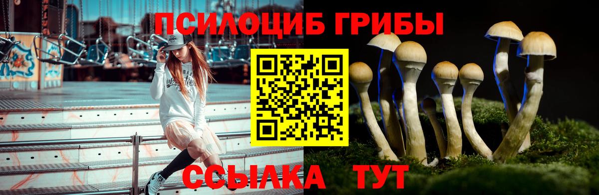 Галлюциногенные грибы Psilocybine cubensis Заринск